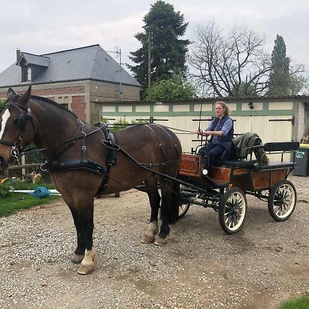 Maison D Hotes Le Saint Aubin Hotel Amfreville-la-Campagne Luaran gambar