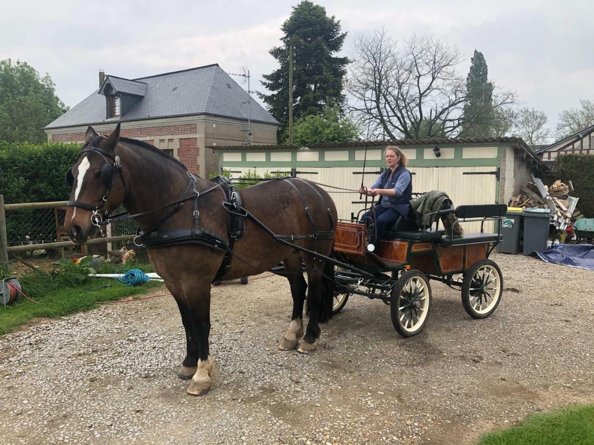 Maison D Hotes Le Saint Aubin Hotel Amfreville-la-Campagne Luaran gambar